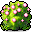 Pink Anthurium