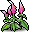 Pink Viola